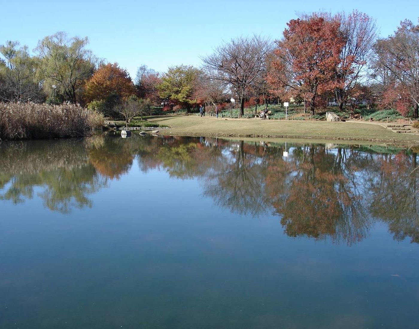 🌳 기요세 가나야마 녹지공원 이미지 8